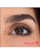Tratamiendo Dabalash para cejas y pestañas