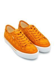 Sneakers Coach