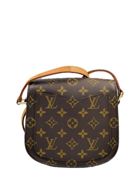 Bolsa Louis Vuitton