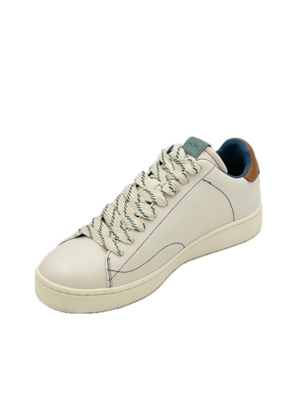 Sneakers Coach