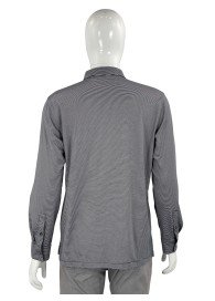 Camisa Theory