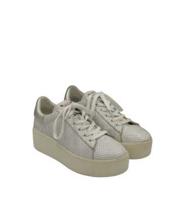 Sneakers Ash | Calzado Auténtico Preloved Guatemala