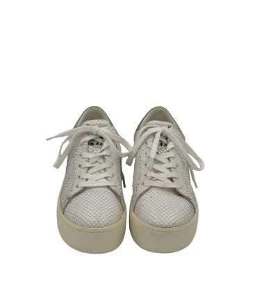 Sneakers Ash | Calzado Auténtico Preloved Guatemala