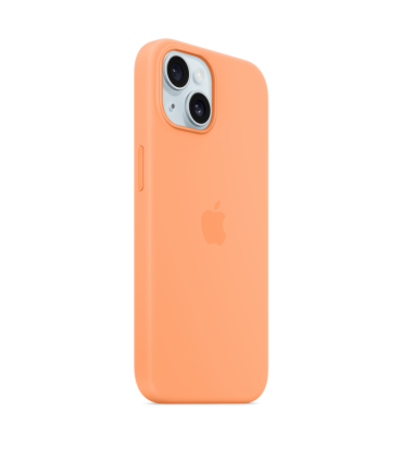 Case Apple