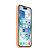 Case Apple