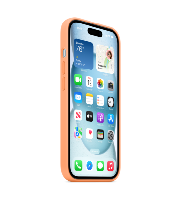 Case Apple